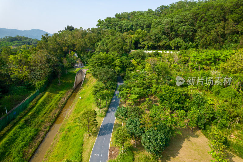 深圳环西丽湖碧道