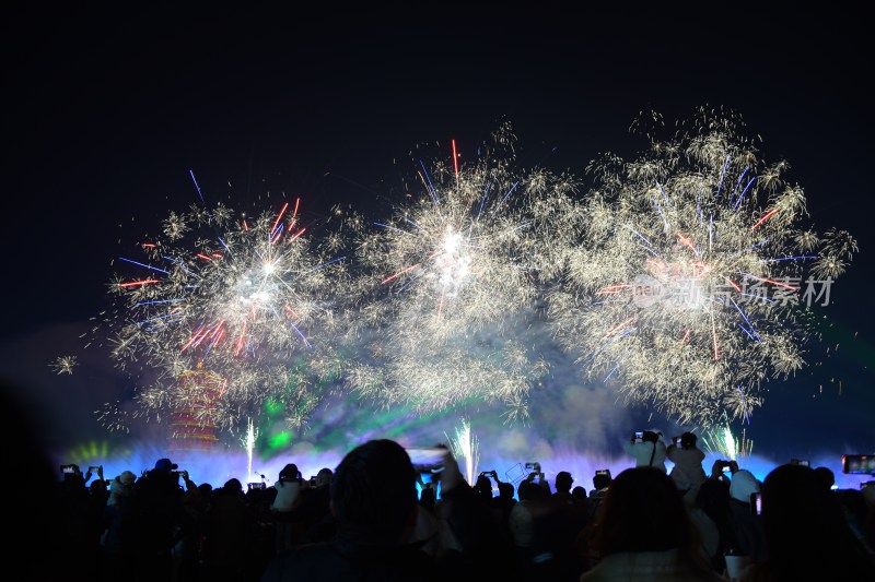 夜空中绽放的绚烂烟花