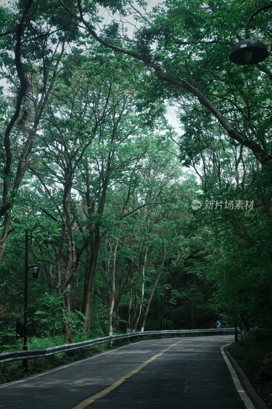 杭州十里琅珰景区