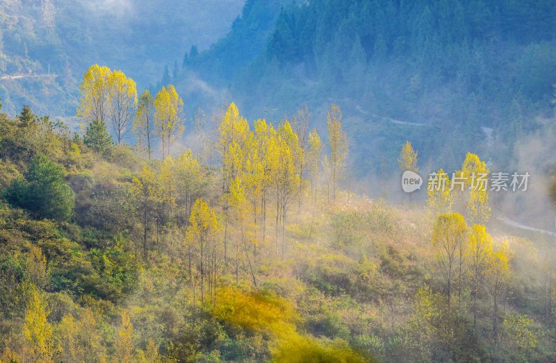 重庆酉阳：雾起群山