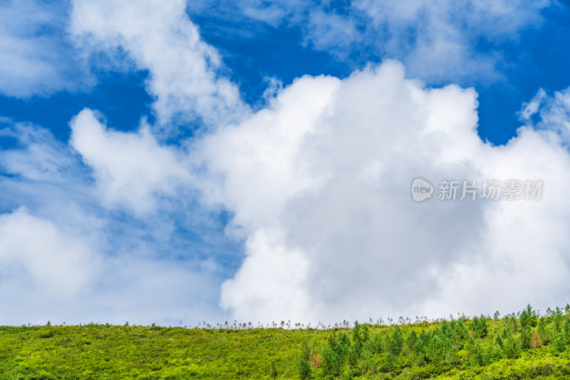 绿色山坡山脊线上的天空蓝天白云美景