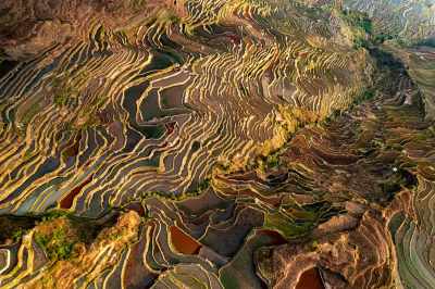 云南旅游大理洱海蒙自弥勒建水元阳梯田景区