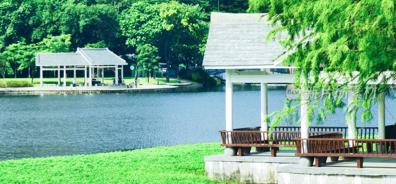 佛山市亚洲艺术公园湖景