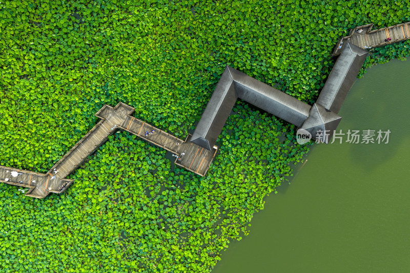 航拍福州福建农林大学校园风光