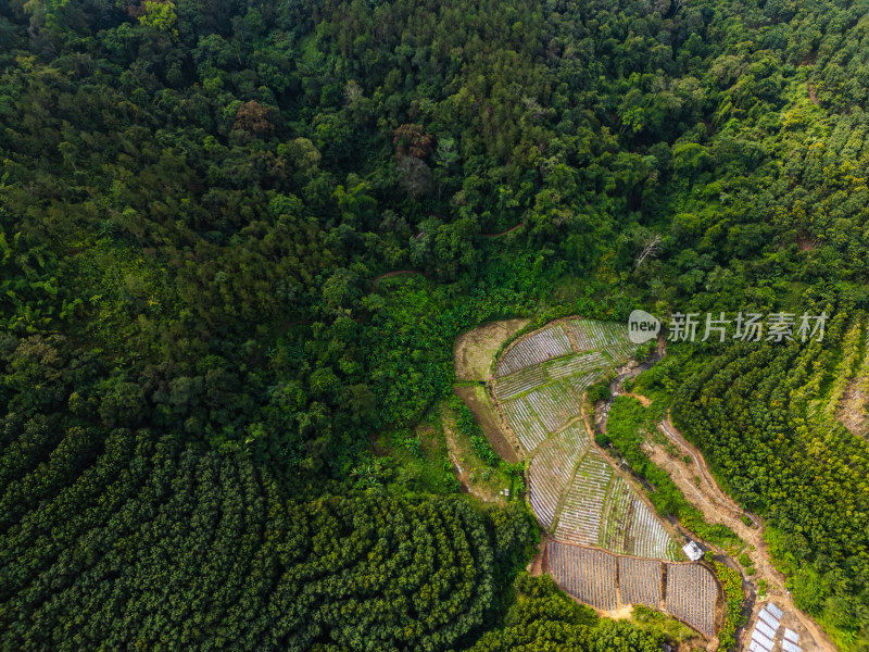 航拍山区绿色生态农业景观