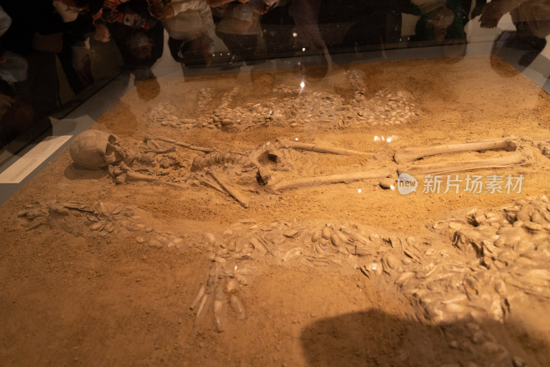 中国国家博物馆古代中国 蚌塑龙虎墓