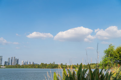 晴朗天气下城市建筑与水面倒影