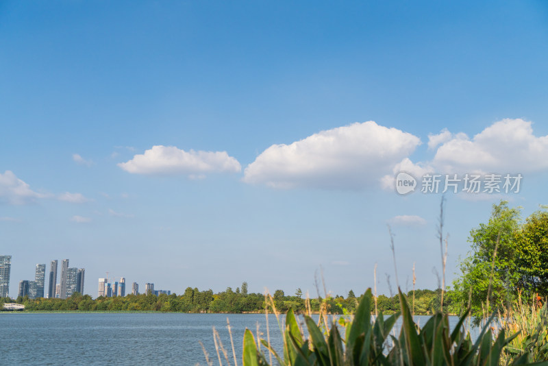 晴朗天气下城市建筑与水面倒影