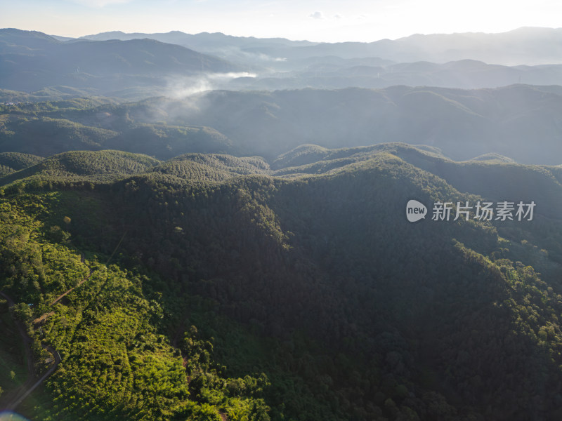 航拍层峦叠嶂的绿色山脉自然景观