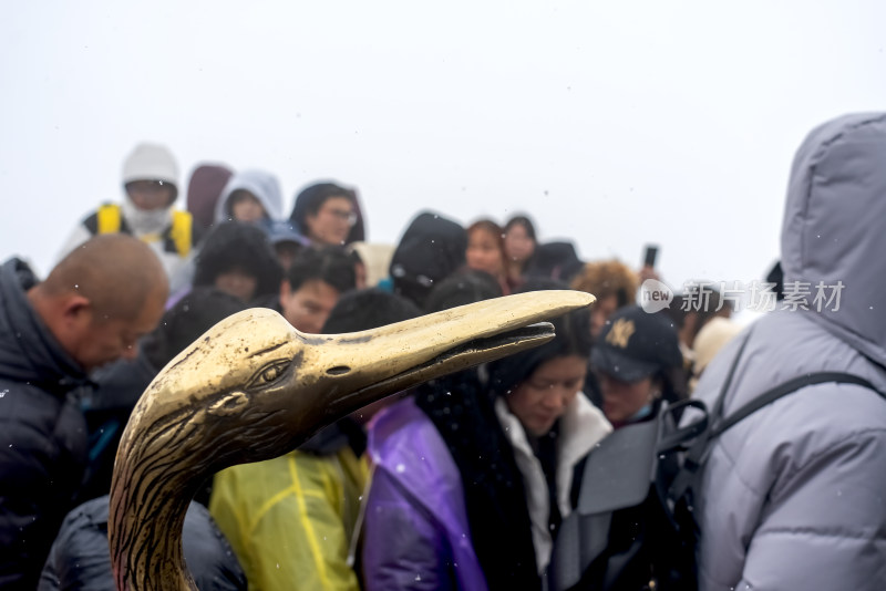 湖北武当山景区金顶游客仙鹤祈福