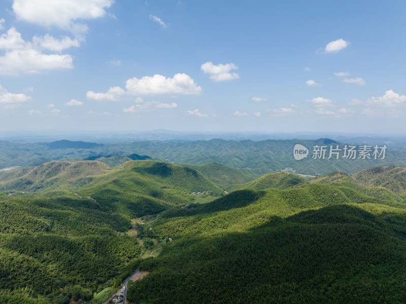 晴天航拍乡村漫山遍野的竹海、光影交错