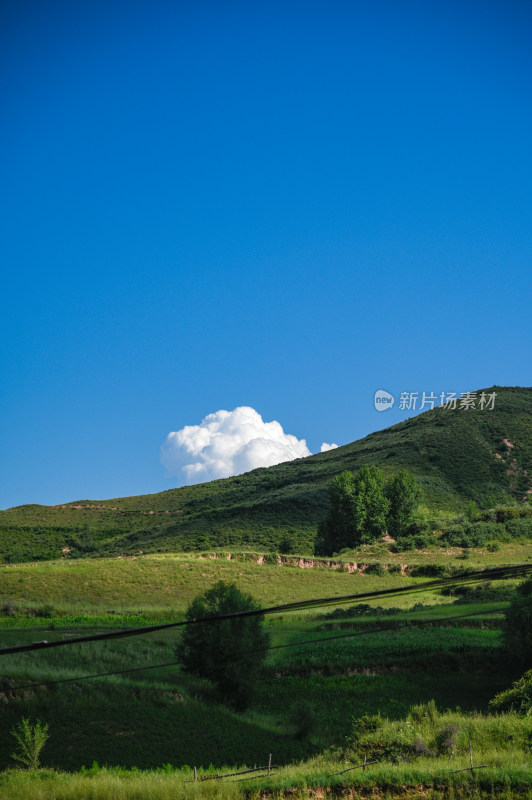 高山草甸风光