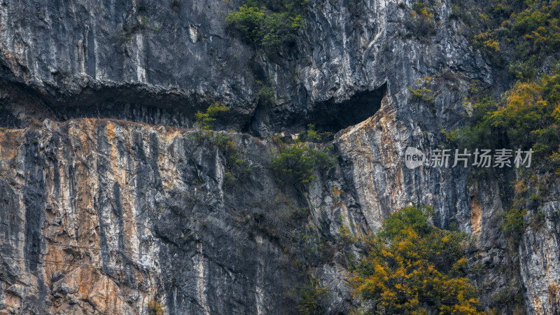 茶马古道行人