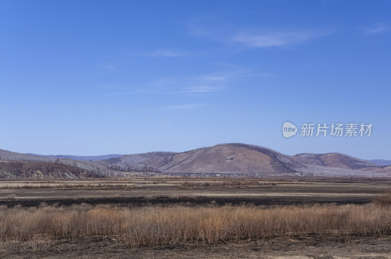 内蒙古呼伦贝尔临江屯草原牧场秋景