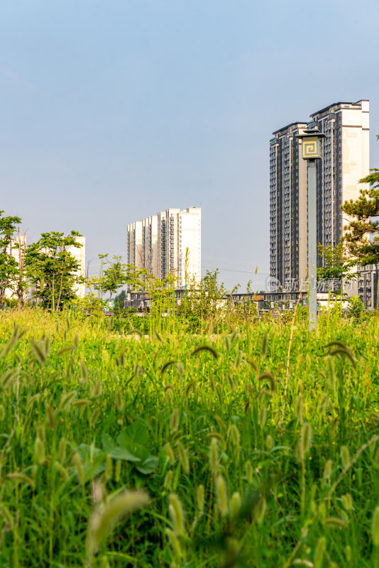 邹城中央公园城市绿植景观