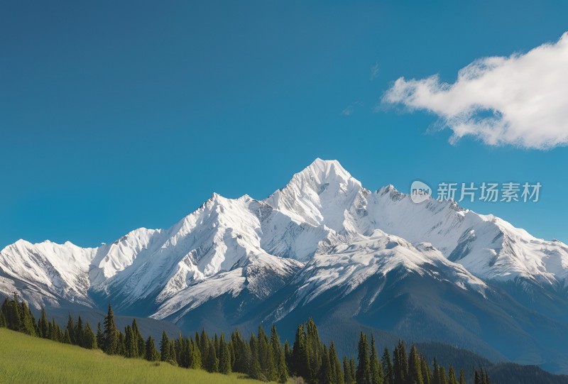 雪山高原草原森林风景