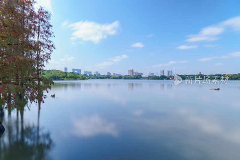 广州海珠湖公园蓝天白云湖面倒影自然风光