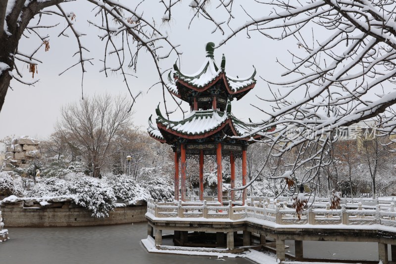 雪后的公园 (3)