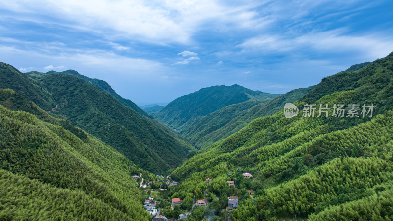 航拍浙北大峡谷山间竹林风光