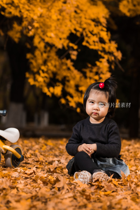 深秋坐在公园落满黄叶的草地上玩耍的女孩