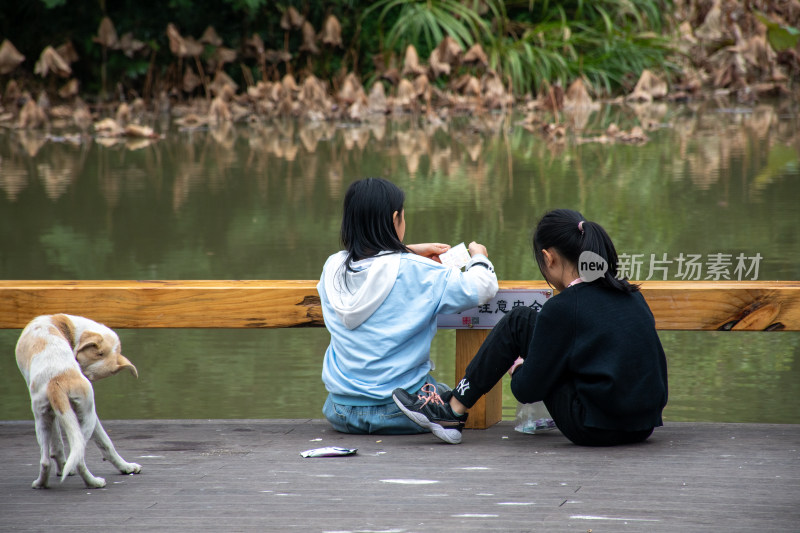 两位女孩和小狗玩耍的场景