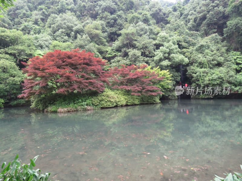 杭州九溪烟树景区