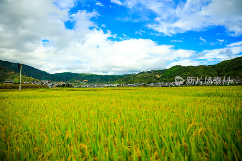 田野上的高架桥风景