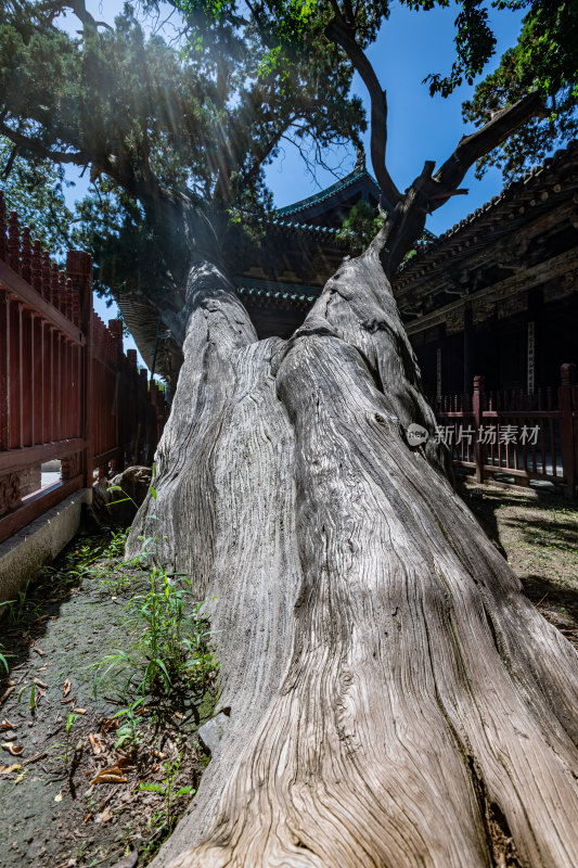 山西太原晋祠景区晋祠博物馆景点景观