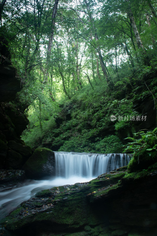 宁夏六盘山国家森林公园绿色生态瀑布风光