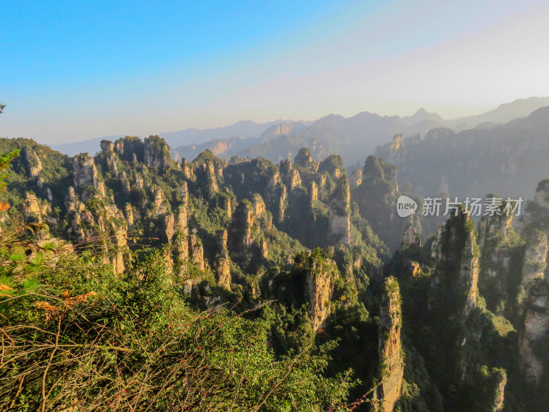 中国湖南张家界国家森林公园旅游风光