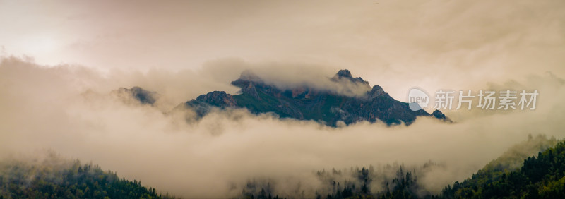 云雾中的森林山峰虎头山