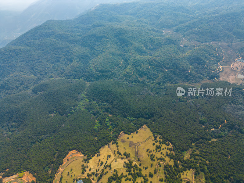 航拍山顶牧场田园风光