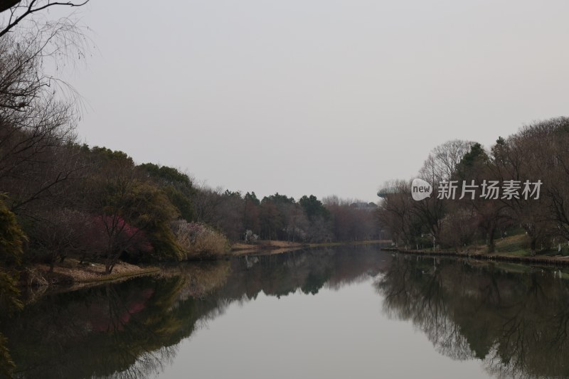 宁静湖水倒映树木的自然景观