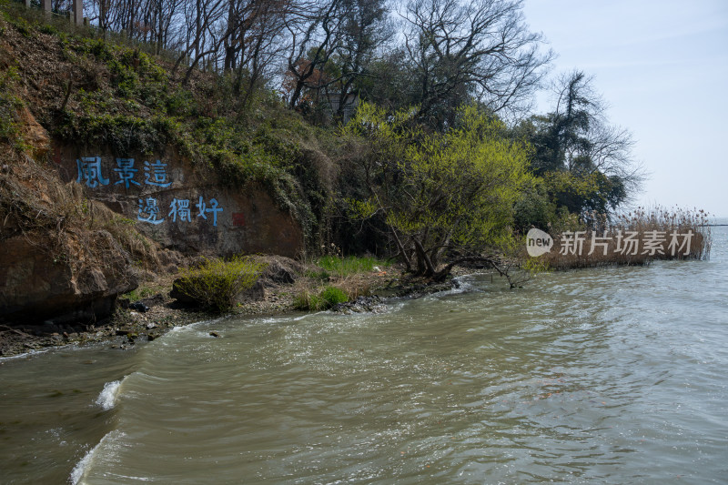 无锡太湖鼋头渚景区早春太湖湖岸风光