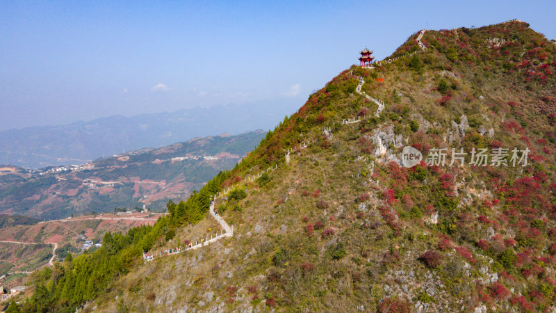 长江三峡巫峡红叶