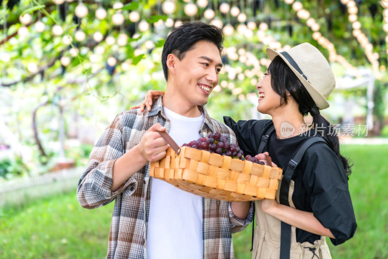 年轻夫妻在果园采摘葡萄