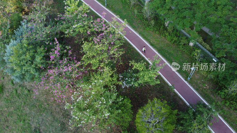 广东东莞：清溪河碧道