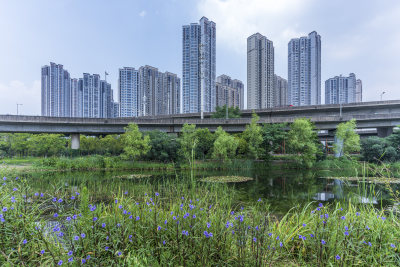 武汉青山区戴家湖公园风景