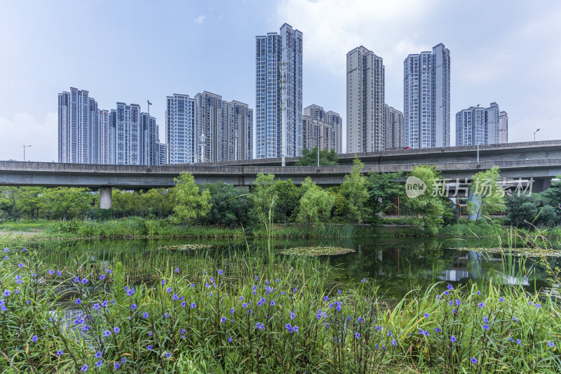 武汉青山区戴家湖公园风景