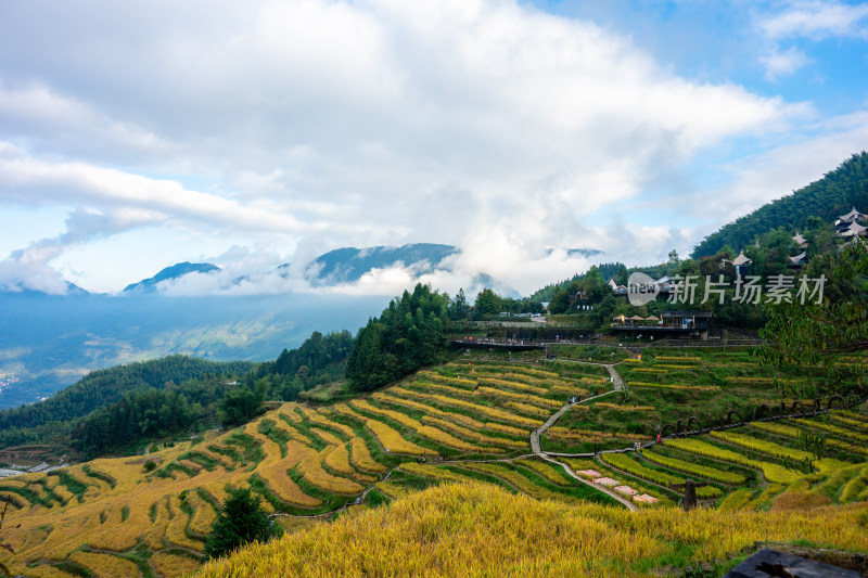 浙江丽水云和梯田景区风光