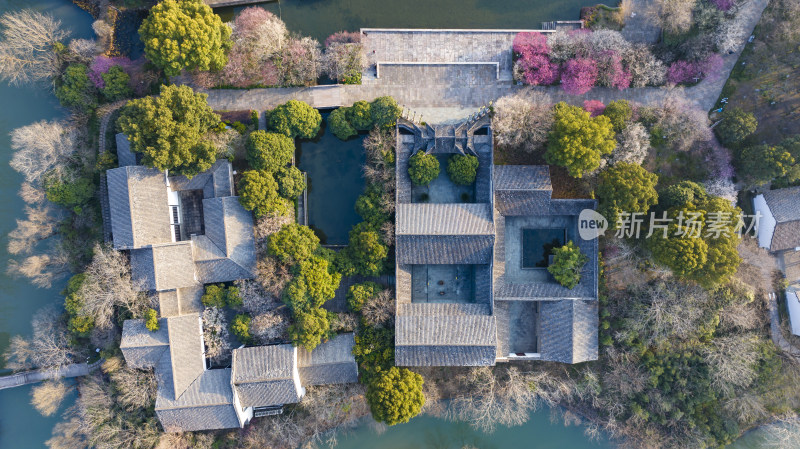 杭州西溪湿地洪园梅花盛开航拍