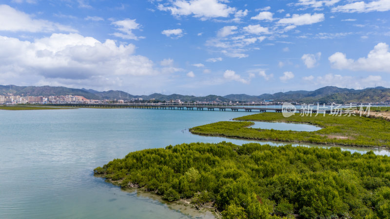 惠州盐洲海洋湿地公园-红树林湿地风光