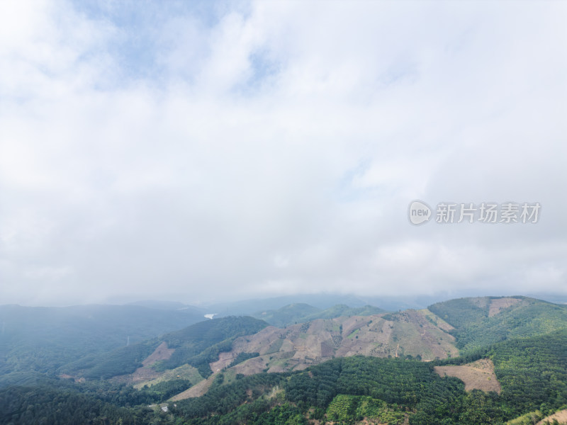 云雾笼罩下的葱郁山林鸟瞰全景