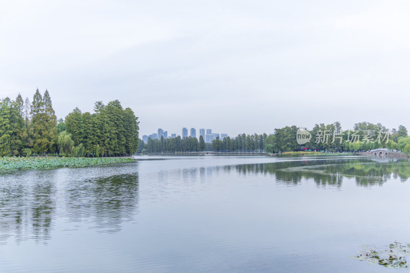 武汉东湖国家湿地公园风光