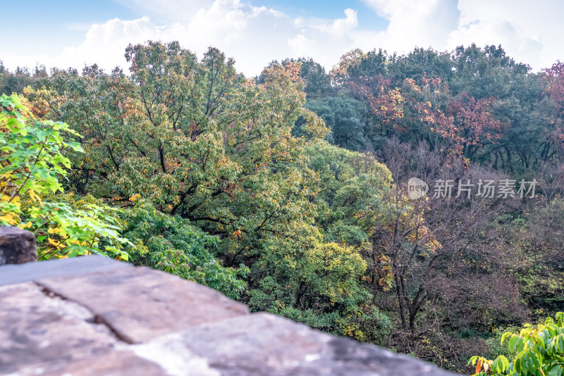 南京钟山风景名胜区明孝陵秋景