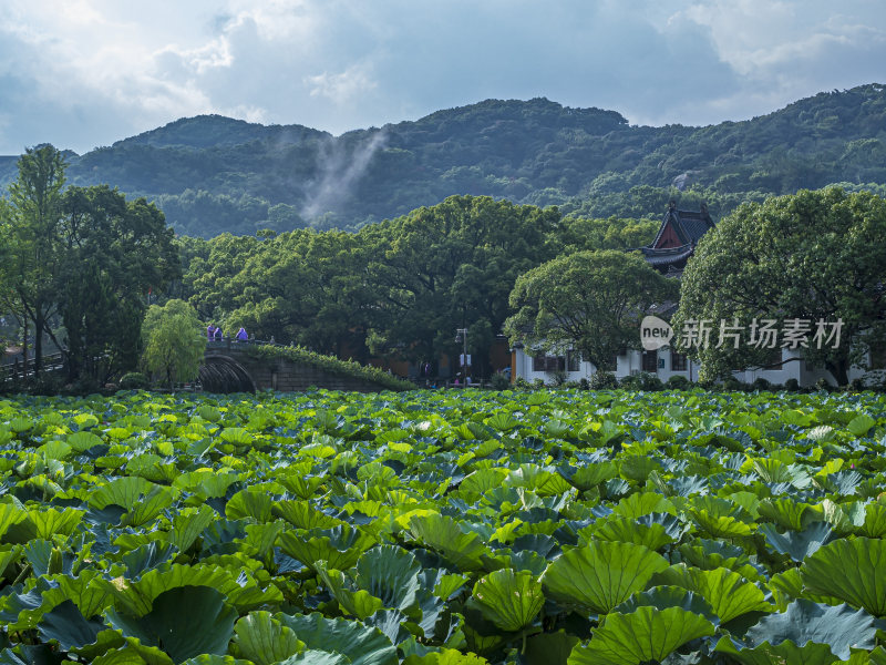 浙江普陀山普济寺禅院建筑