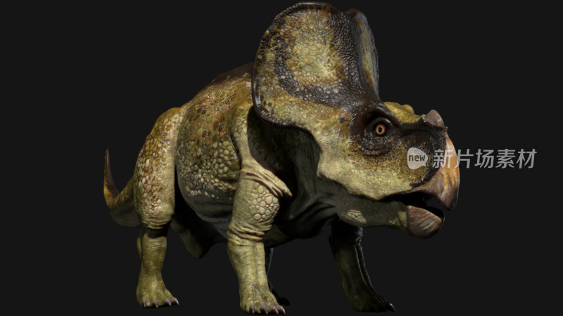 远古恐龙 侏罗纪白垩纪三叠纪