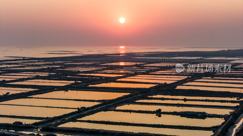 水产养殖：廉江市龙营围万亩虾田