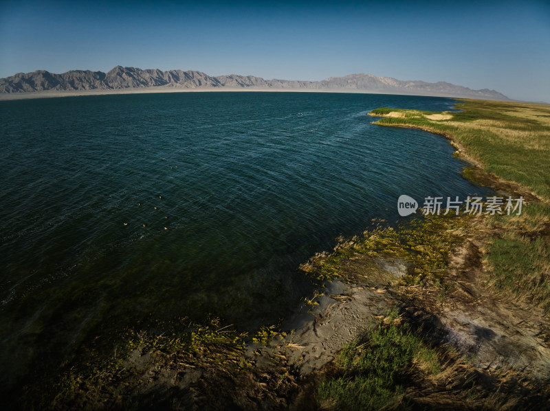 航拍苏干湖候鸟保护区