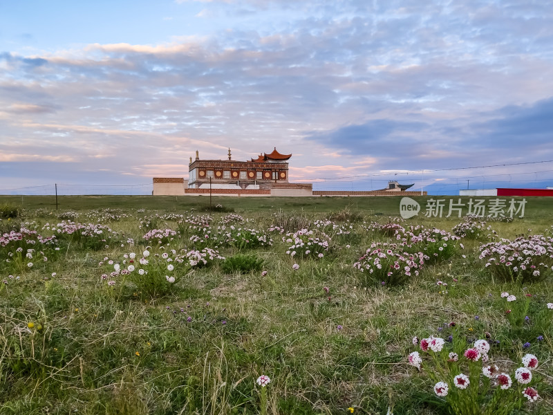 六月的青海湖风景